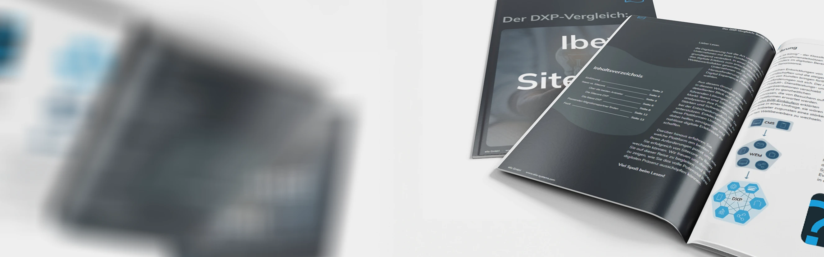 Whitepaper: Ibexa vs. Sitecore Mockup des Whitepapers 'ibexa vs. Sitecore'