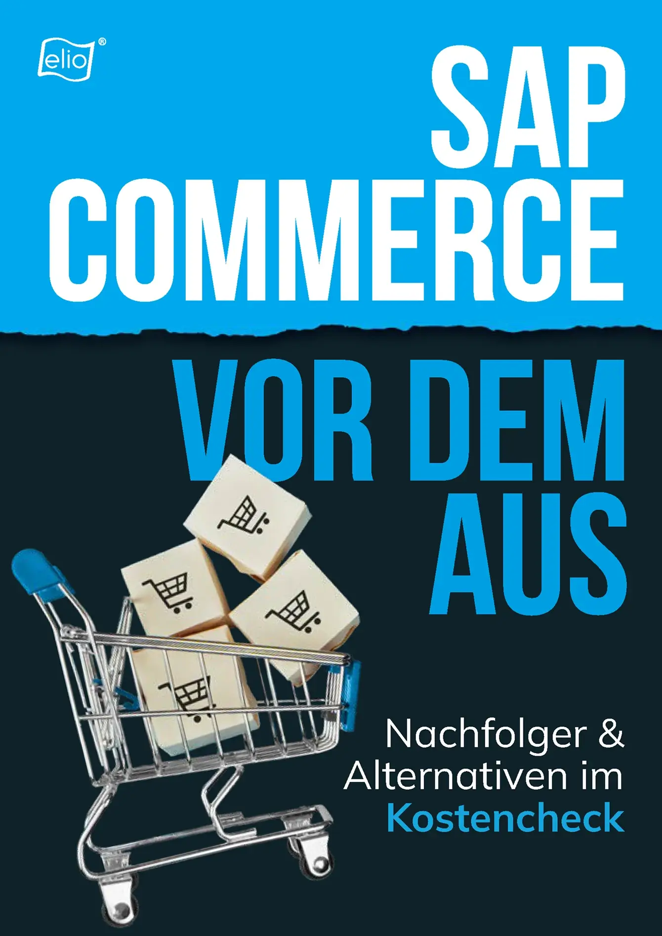 Whitepaper: SAP Commerce vor dem Aus Seite aus dem elio-Whitepaper ‚SAP Commerce vor dem Aus‘ mit Inhaltsverzeichnis und Einleitung.