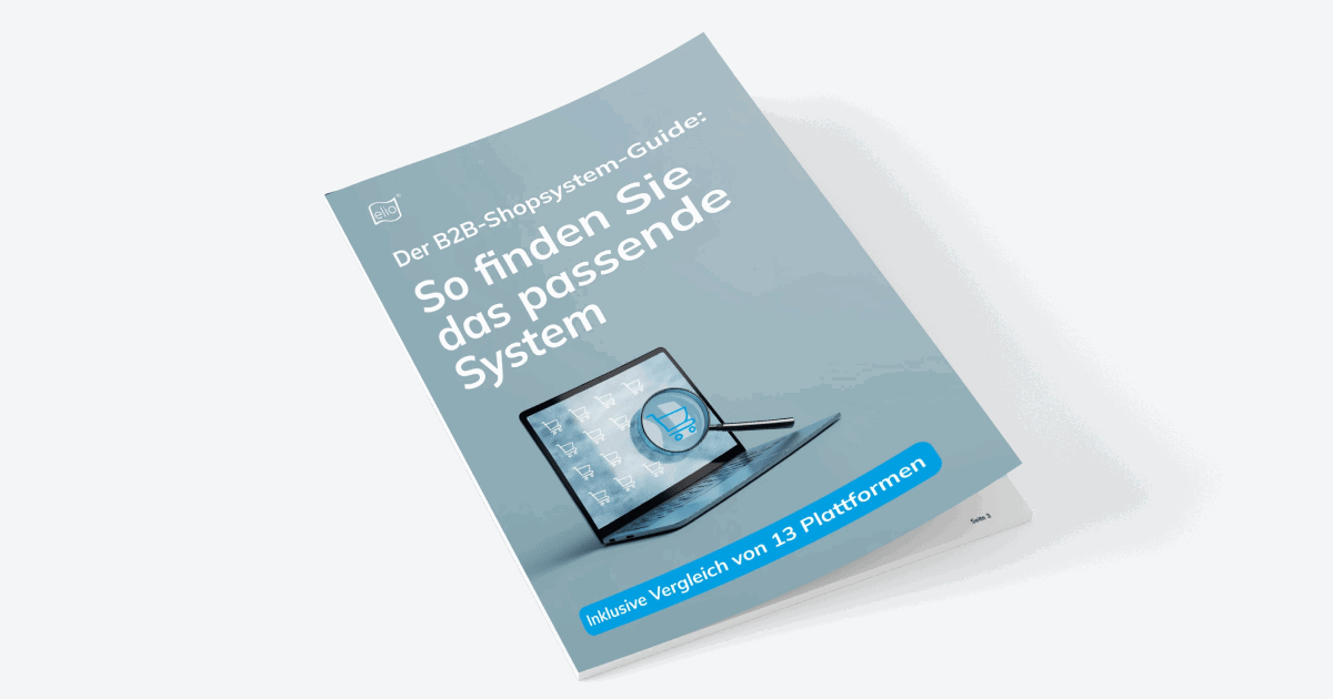 Whitepaper: Der B2B Shopsystem Guide