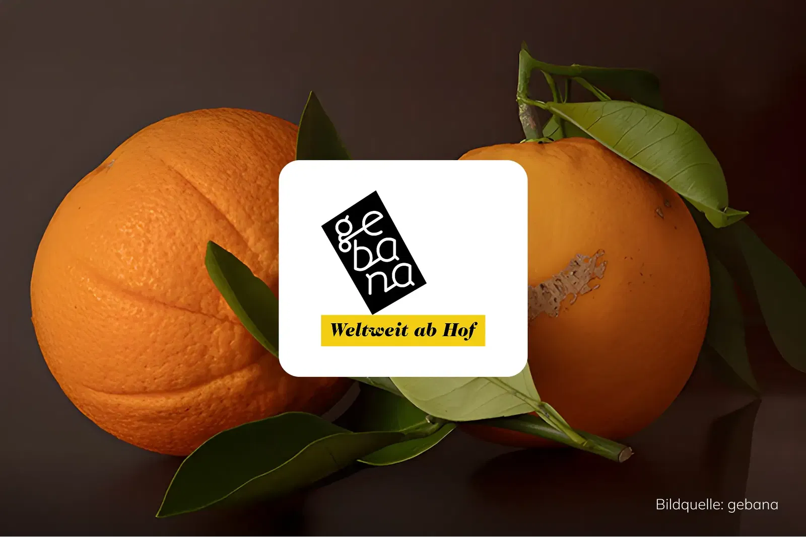 gebana Success Story Frische Bio-Orangen mit grünen Blättern im Vordergrund, darüber das Logo von gebana mit dem Schriftzug ‚Weltweit ab Hof‘.